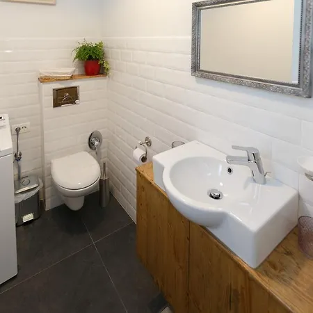 Lux Apartament Petru Maior Apartment